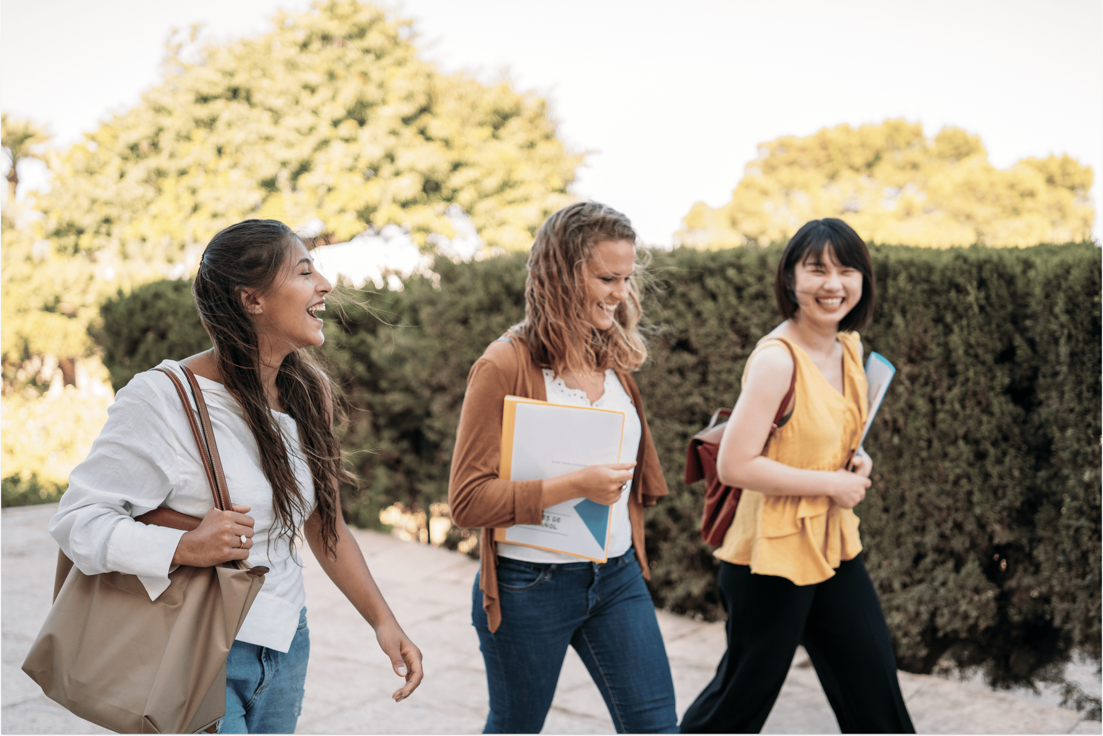 Accelerate graduate program image